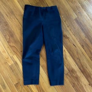 Everlane Elastic Waist Pants